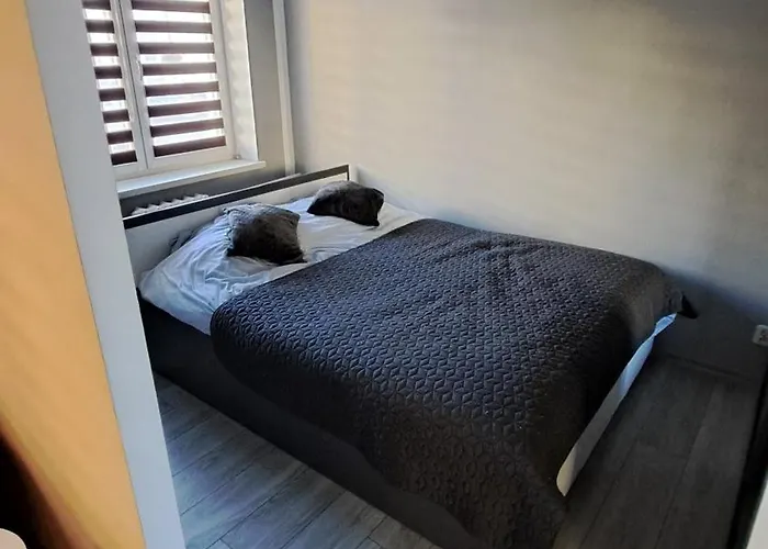 Apartment Bella Piaskowa Gora